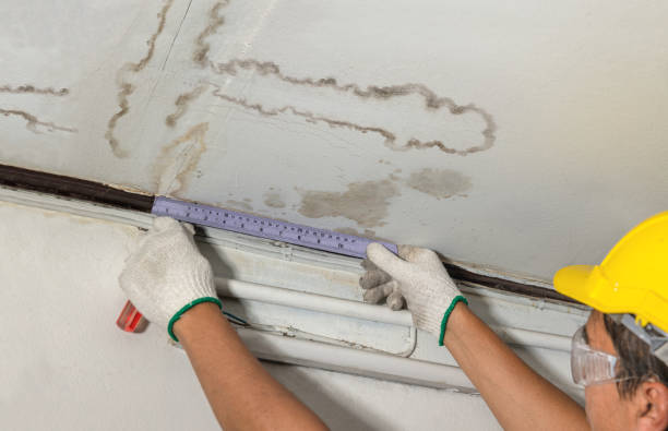Reliable Water Removal contractor in Tiltonsville, OH by Water Damage Irwin
